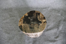 Petrified Wood Log Stool 10" x 10" x 16.5" - DV.1.112