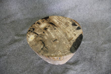 Petrified Wood Log Stool 18" x 11" x 11" - DV.1.113
