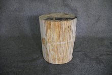 Petrified Wood Log Stool 16" x 13" x 11" - DV.1.175
