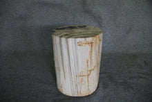 Petrified Wood Log Stool 16" x 13" x 11" - DV.1.175