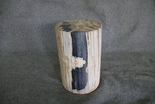 Petrified Wood Log Stool 16" x 13" x 11" - DV.1.175