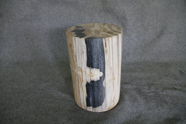Petrified Wood Log Stool 16" x 13" x 11" - DV.1.175