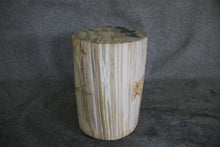 Petrified Wood Log Stool 16" x 13" x 11" - DV.1.175