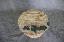 Petrified Wood Log Stool 16" x 13" x 11" - DV.1.175