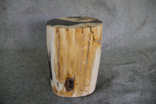 Petrified Wood Log Stool 16" x 11" x 10" - DV.1.195