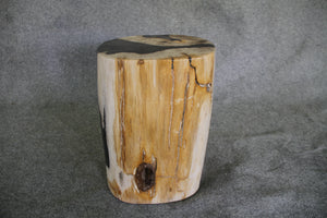 Petrified Wood Log Stool 16" x 11" x 10" - DV.1.195