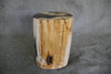 Petrified Wood Log Stool 16" x 11" x 10" - DV.1.195