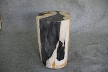 Petrified Wood Log Stool 16" x 11" x 10" - DV.1.195