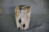 Petrified Wood Log Stool 16" x 11" x 10" - DV.1.195