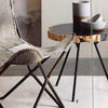 Roost Petrified Wood Tripod Tables