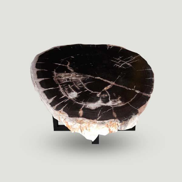 Petrified Wood Slab- 20"x20"-PF1105