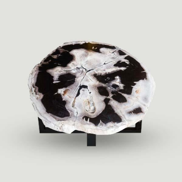 Petrified Wood Slab 24" x 25"- PF1108- Coffee Table by Aire Furniture