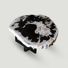 Petrified Wood Slab 24" x 26" Coffee Table PF1118 by Aire Furniture