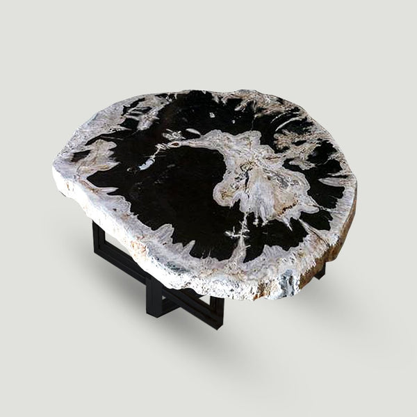 Petrified Wood Slab 24" x 26" Coffee Table PF1118 by Aire Furniture