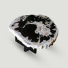 Petrified Wood Slab 24" x 26" Coffee Table PF1118 by Aire Furniture
