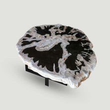 Products Petrified Wood Slab- 20" x 17"- with Custom Made Base- PF1106 -Coffee Table/ Side Table