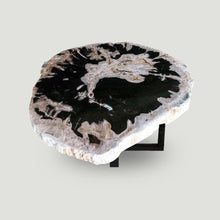 Petrified Wood Slab 24" x 26" Coffee Table PF1118 by Aire Furniture