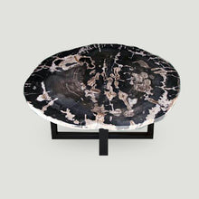 Petrified Wood Slab Coffee Table - 36" x 26" x 2"H - PFT0416/20