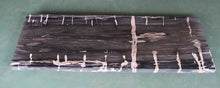 Petrified Wood Slab 55"x20" - PFC086/20 Aire Furniture