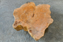 Mango Wood Low Coffee Table by Artisan Living-ALF1166-4