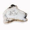 Petrified Wood Slab- 22" x 21"-Coffee Table- PF-1104 by Aire Furniture