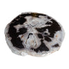 PF-1108 Petrified Wood Slab With Custom Made Base by AIRE Furniture