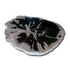 Petrified Wood Slab-29" x 24"Coffee Table PF-1113 by Aire Furniture