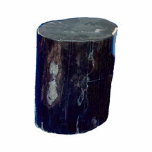 Petrified Wood Stool-18"h-PF2057-Ebony Black