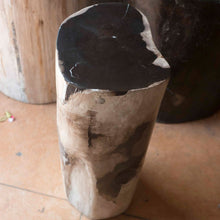 Petrified Wood Stool-20"h- PF2102
