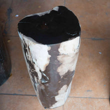 Petrified Wood Stool-20"h- PF2102