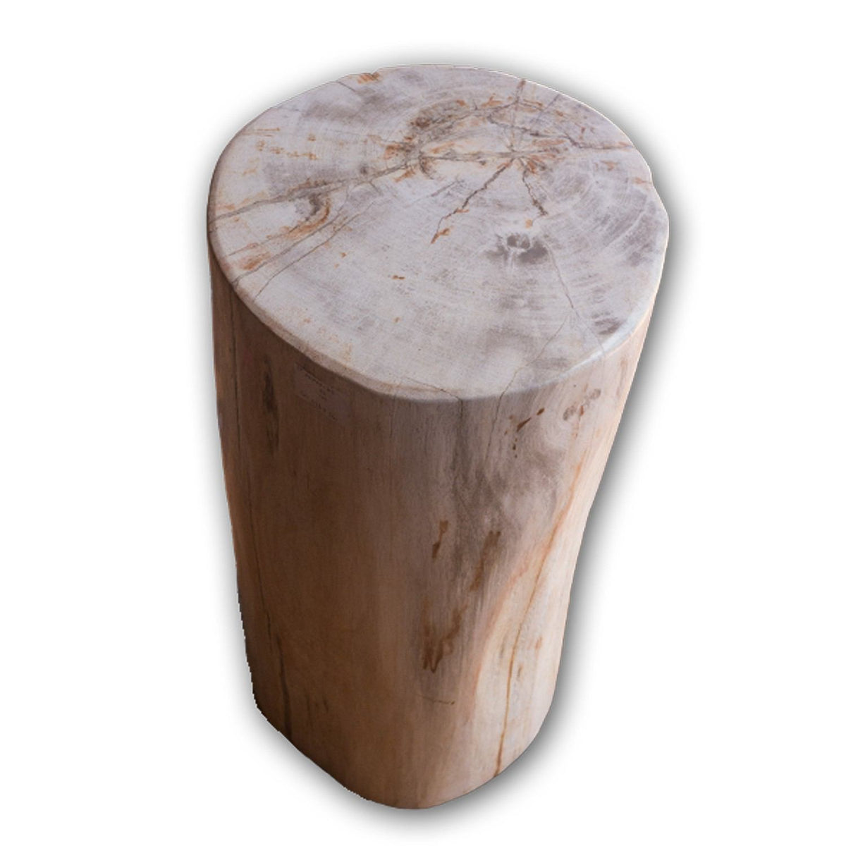 Petrified Wood Stool-20 Petrified Wood Stool-20