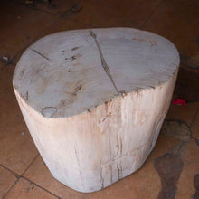 Petrified Wood Stool-16"h- PF2109- Antique White