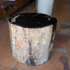 Petrified Wood Stool-22"h- PF2116- Black Core