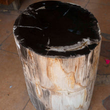 Petrified Wood Stool-22"h- PF2116- Black Core