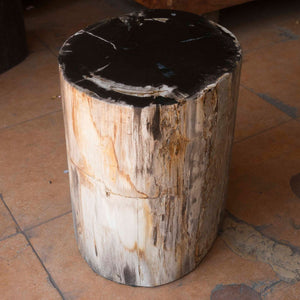 Petrified Wood Stool-22"h- PF2116- Black Core