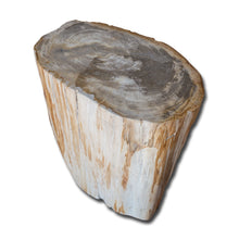 Petrified Wood Stool PF-2139