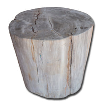 Petrified Wood Stool-16"h- PF2142