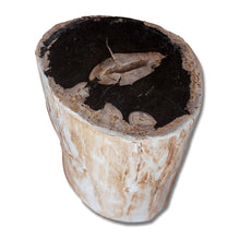 Petrified Wood Stool PF-2159