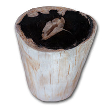 Petrified Wood Stool PF-2159
