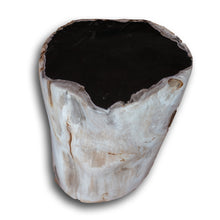 Petrified Wood Stool-16"h- PF2160