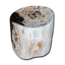 Petrified Wood Stool-15"h- PF-2164