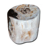 Petrified Wood Stool-15"h- PF-2164