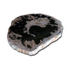 Petrified Wood Slab 24" x 26" Coffee Table PF1118 by Aire Furniture