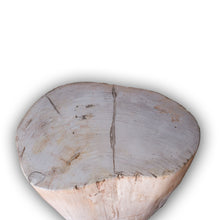 Petrified Wood Stool-16"h- PF2109- Antique White