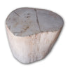 Petrified Wood Stool-16"h- PF2109- Antique White