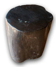 Petrified Wood Stool-18"h- PF2114- Black Dappled