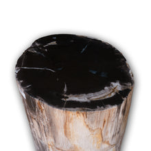 Petrified Wood Stool-22"h- PF2116- Black Core