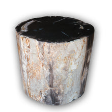 Petrified Wood Stool-22"h- PF2116- Black Core