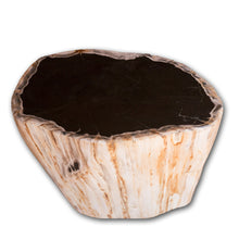Petrified Wood Stool 13"x 8" x 15'h- Cream/Black Core Rare Side Table