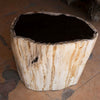 Petrified Wood Stool 13"x 8" x 15'h- Cream/Black Core Rare Side Table